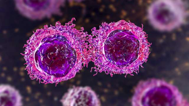Cancer cells dividing