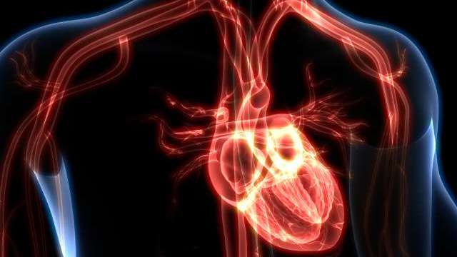 heart