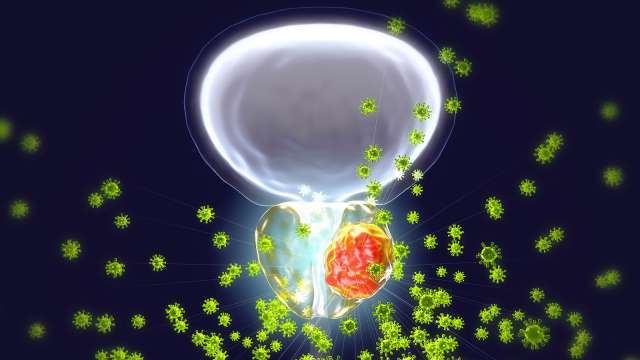 Microscopic view of cancer cells