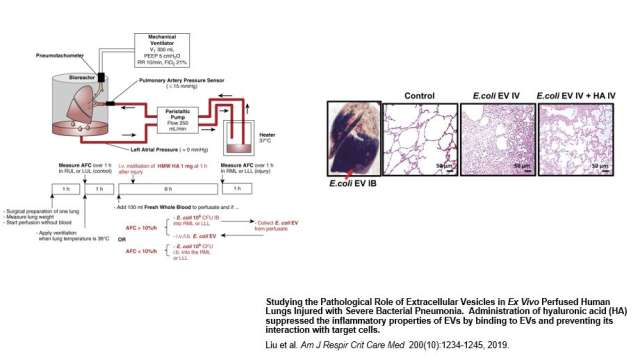 Dr. Lee lab image