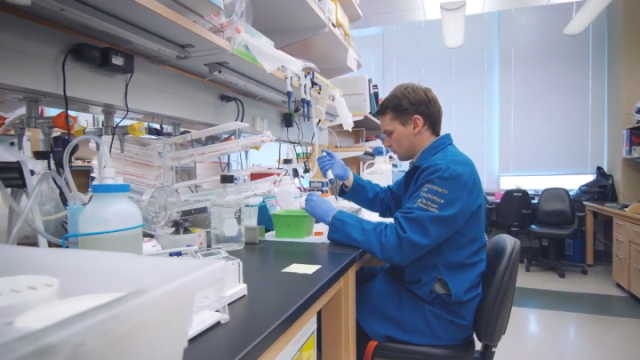 researcher from the Genomic Medicine team working in the lab, wearing blue scrubs and rubber gloves.