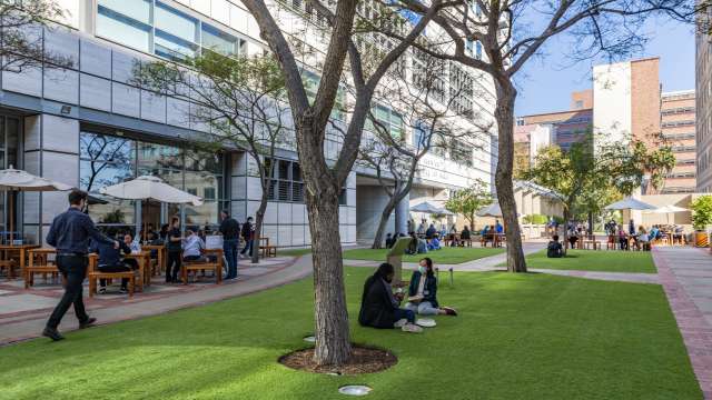 People sitting on a lawn enjoying a picnic outside beneath trees
