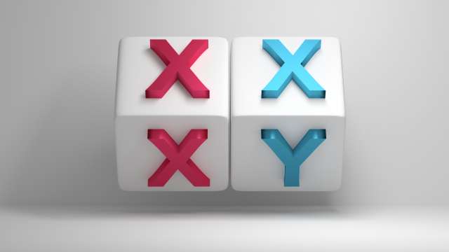 Blocks showing XX and XY chromosomes representing male and female