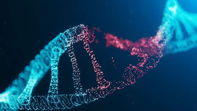 RNA strand