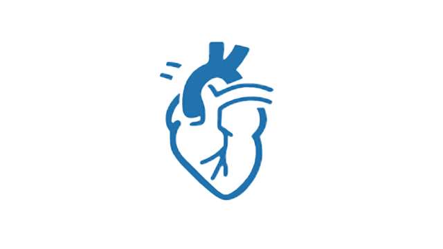 Cardiology icon