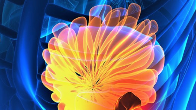 We treat all stages and types of breast cancer in the UCLA Department of Radiation Oncology.