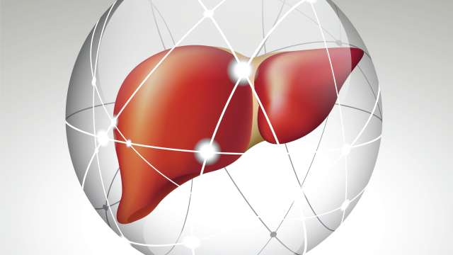 Liver Circle