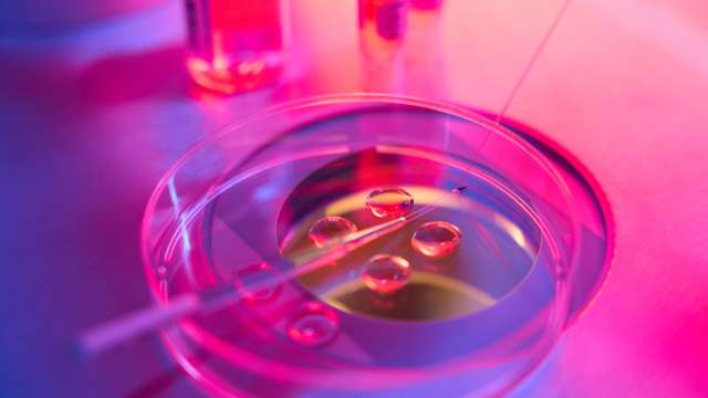 Scientist performing liquid biopsy