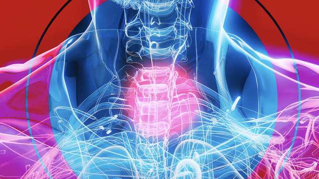 Illustration of esophagus