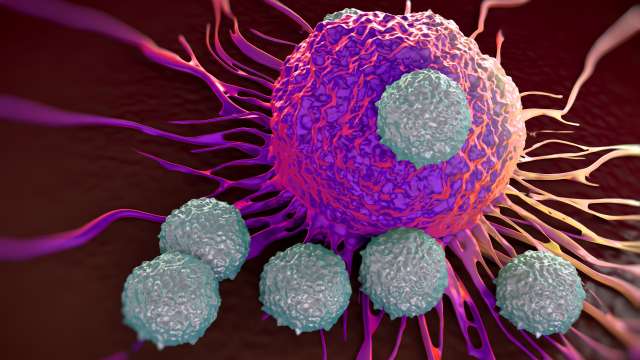 T cells attacking cancer tumor