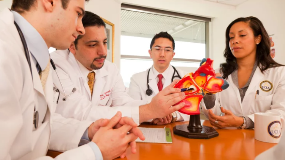 Doctors and medical students discuss an anatomical heart model at UCLA.