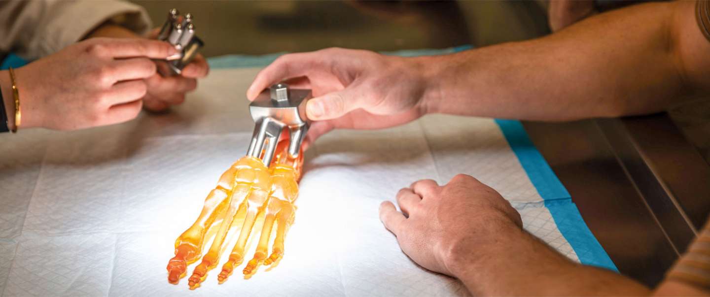 A prosthetic ankle model