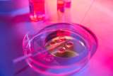 Scientist performing liquid biopsy