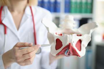 The pelvic floor is a group of muscles stretching from the pubic bone to the tailbone, supporting the pelvic organs.