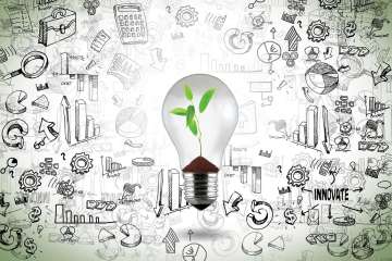 Lightbulb with growing plant inside bulb