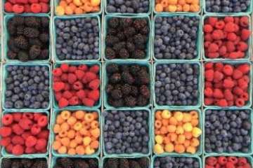 Nutrition