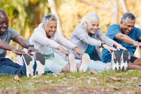 Senior adults stretch in the park.
