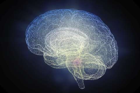 Glowing wireframe human brain with highlighted central region