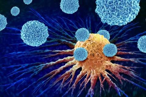 immune cells attacking cancer cells