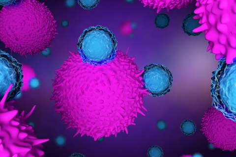 3d illustration of T cells attacking cancer cells.