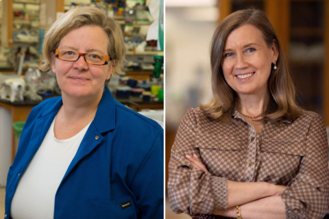photo collage of scientist kathrin plath on the left and scientist hanna mikkola on the right, both are in a lab setting