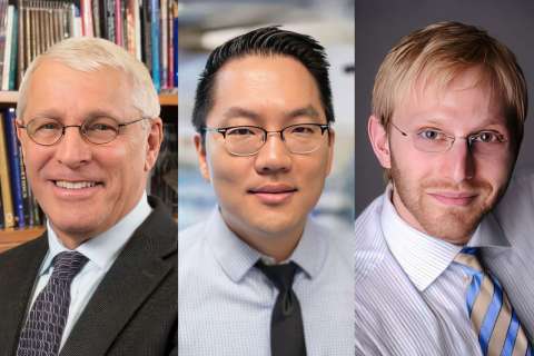 headshots of Witte, Lee and Di Carlo.