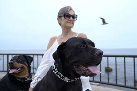 Denise Delatorre receives life-saving CAR T-cell therapy at UCLA Health