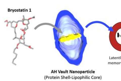 Illustration of Bryostatin 1 interacting with AH Vault Nanoparticle for cancer therapy.