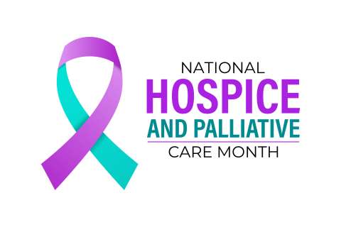 Hospice and palliative care awareness ribbon