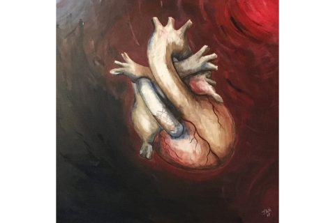 Painting of realistic heart 