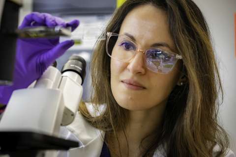 Dr. Jihane Benhammou