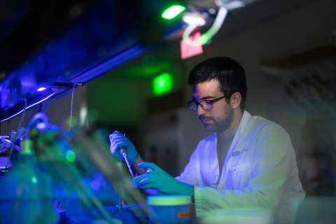 Researcher working in a UCLA immunology lab.