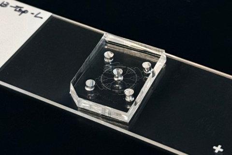 A microfluidic device is placed on a cell slide, which is against a black background