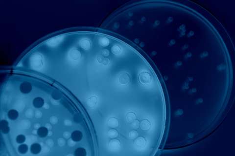 Blue cells floating against a black background