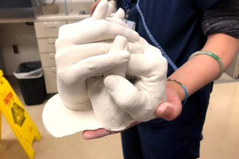 A family of hands