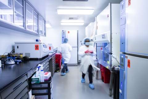 A laboratory at UCLA's current good manufacturing practices facility