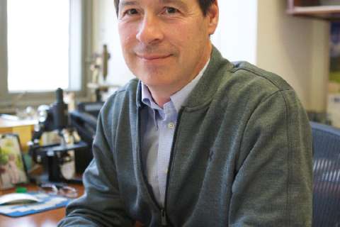 Peter J. Tontonoz, PhD