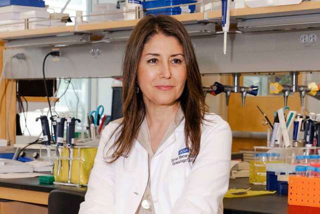 Dr. Sanaz Memarzadeh sitting in a desk chair in the Lab.