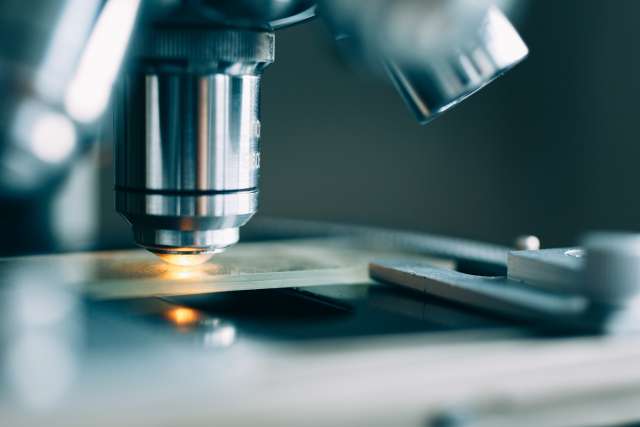 Microscope