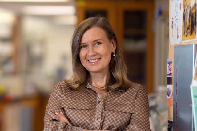 Hanna Mikkola