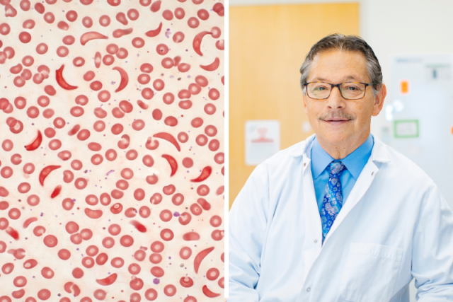 Split view: red blood cell pattern and a doctor in a white coat and tie.