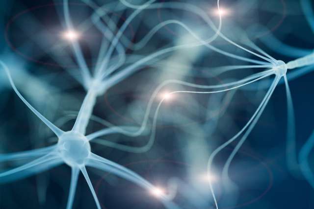 3D illustration of neurons