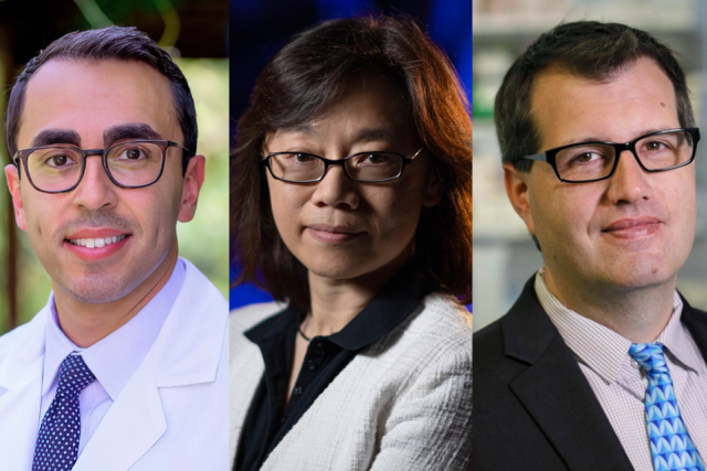 Three UCLA Health physicians pose for professional portraits, each wearing glasses and formal or clinical attire.