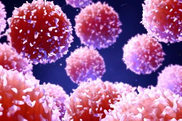 A 3D rendering of cancer cells floating in fluid