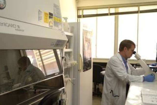 Dr. John Timmerman examining sample through microscope