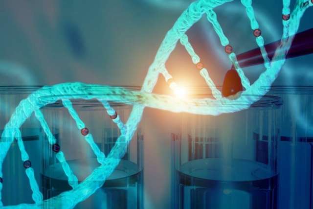 dna