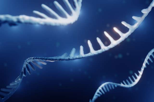 RNA