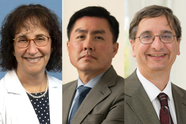 from left to right: Dr. Lillian Gelberg, Dr. Roger Lo and Dr. Jeffrey Saver