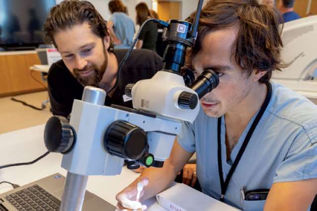 Two doctors at microscope