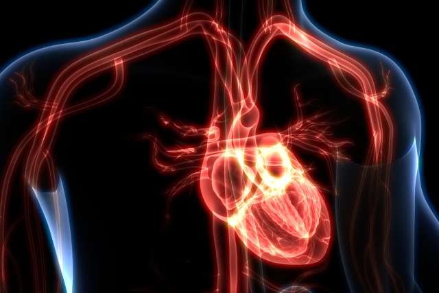 Image of heart